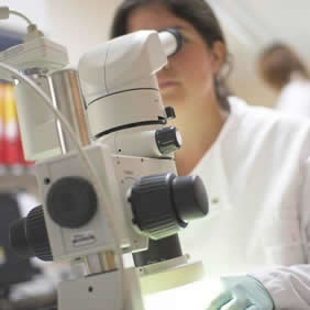 REACH testing lab